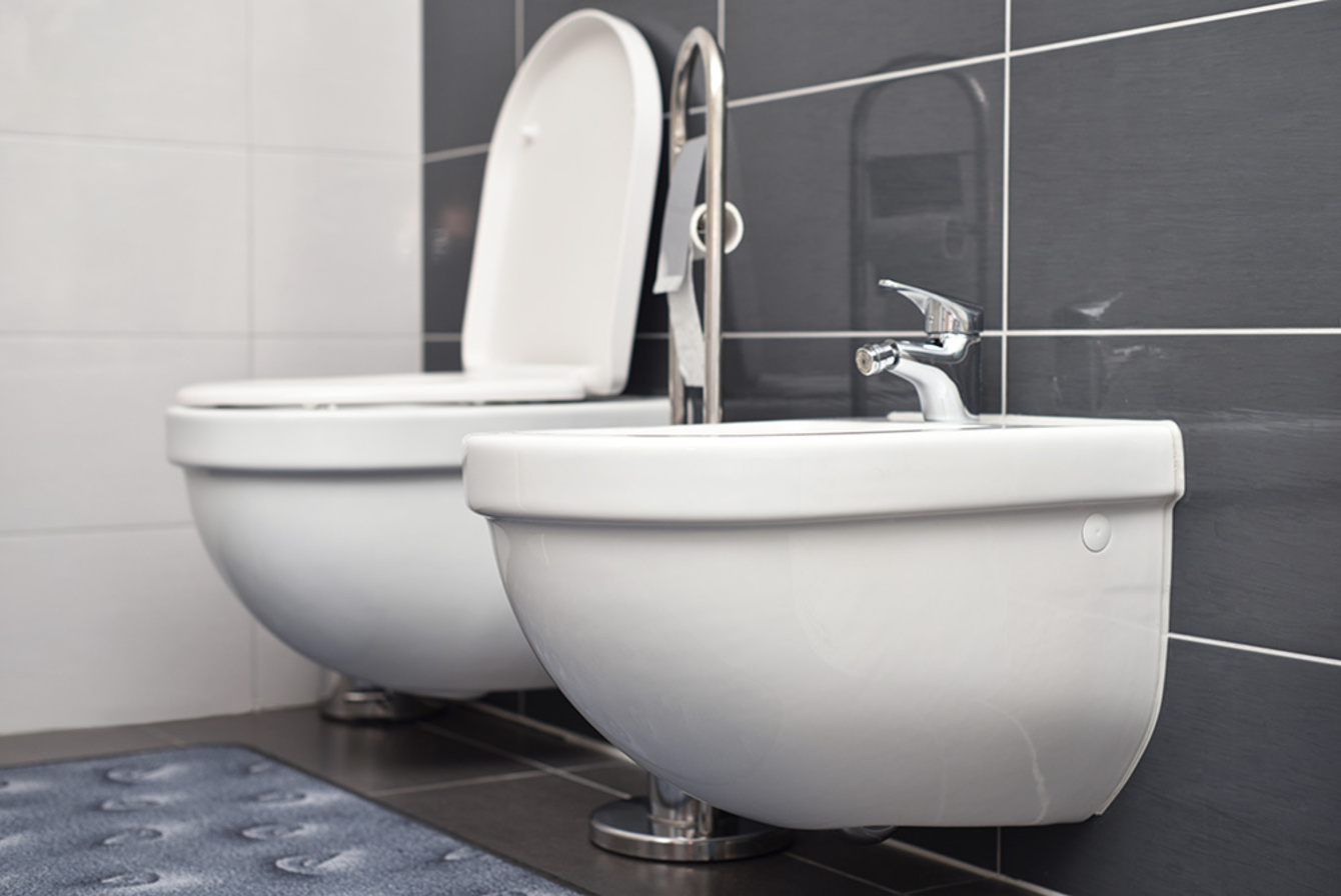 WC | Bidet | Urinal bei André Schlausch HLS in Korbußen